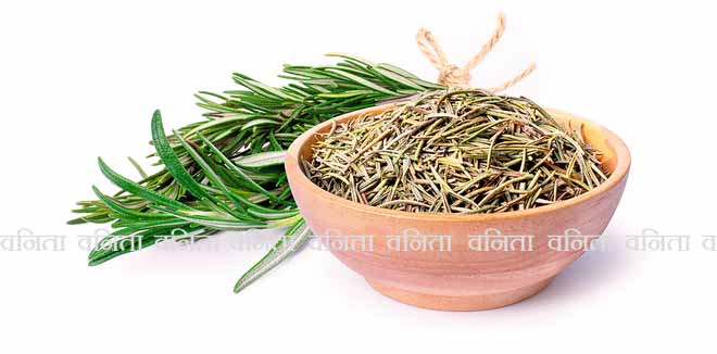 2160682247 Fresh and dried rosemary leaves isolated on white background.