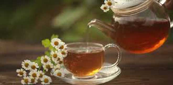 tea-1 tea-1