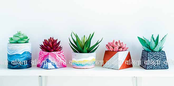 Beautiful cement pots with green, pink, and red succulent plants decoration on a white wooden shelf on white wall background with copy space. Four colorful concrete planters.