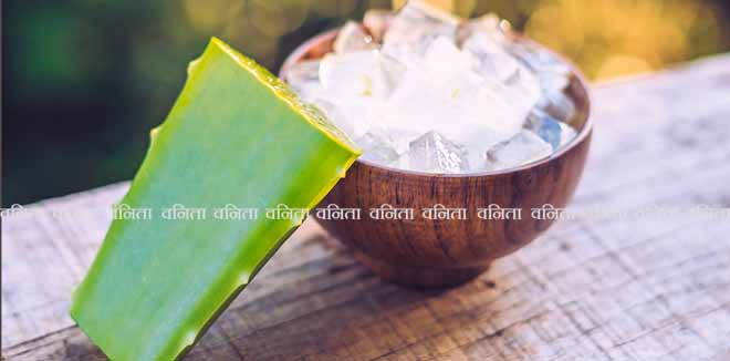 Aloe vera and aloe cubes in a wooden bowl. Aloe Vera gel almost use in food, medicine and beauty industry