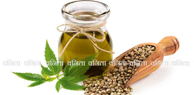 403639531 Hemp oil n a glass jar isolated on a white background