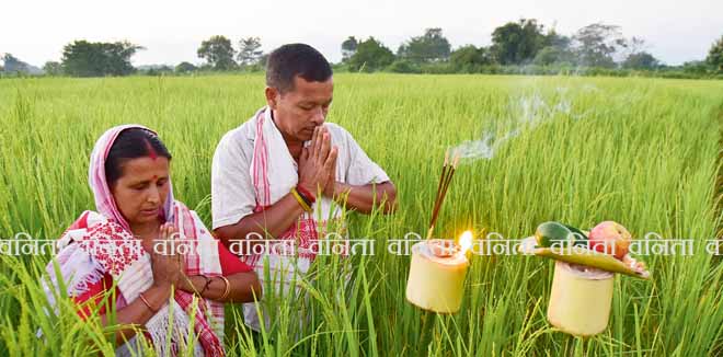2217471953 Farmer offer prayer and light lamp at agriculture field for good harvesting during the celebration of Kati Bihu at Uttar Para village in Baksa district of Assam India on Tuesday 18th October 2022.